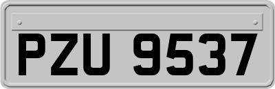 PZU9537