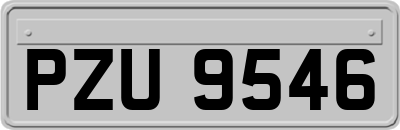 PZU9546