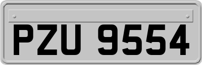 PZU9554