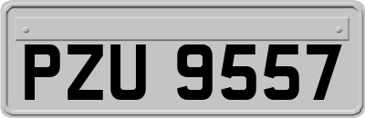 PZU9557