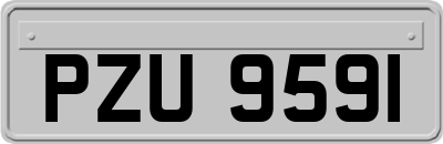 PZU9591