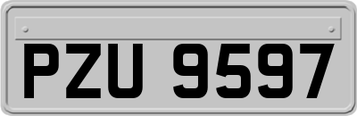 PZU9597