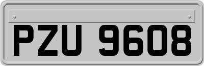 PZU9608