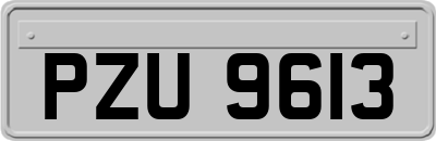 PZU9613