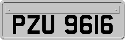 PZU9616