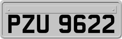 PZU9622