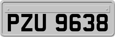 PZU9638