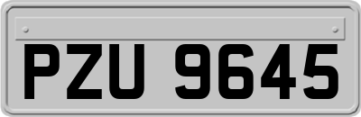 PZU9645