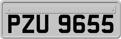 PZU9655