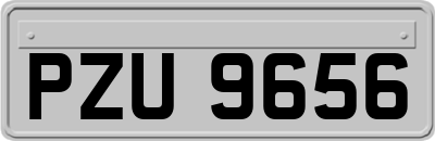 PZU9656