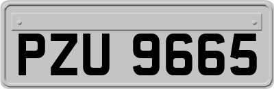 PZU9665