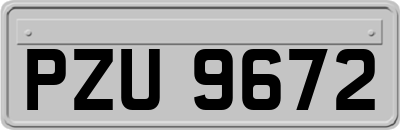 PZU9672