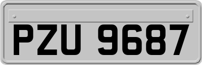 PZU9687