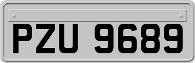 PZU9689