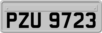 PZU9723