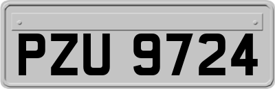 PZU9724