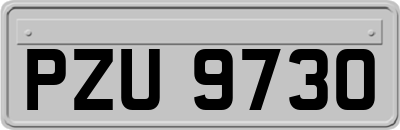 PZU9730