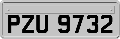 PZU9732