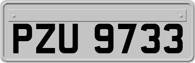 PZU9733