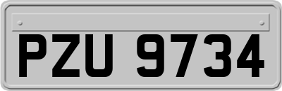 PZU9734