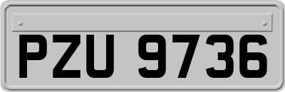 PZU9736