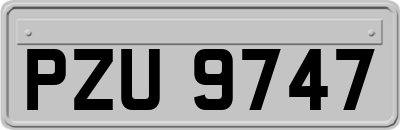 PZU9747