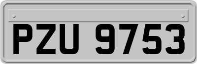 PZU9753