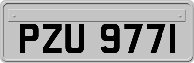 PZU9771