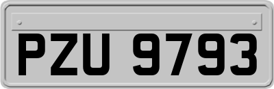 PZU9793