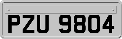 PZU9804