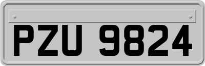 PZU9824