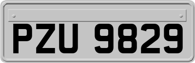 PZU9829