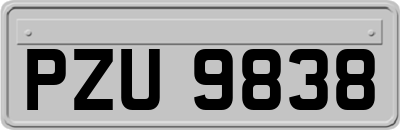 PZU9838