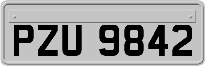 PZU9842