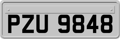 PZU9848