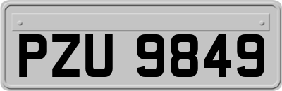 PZU9849