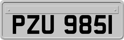 PZU9851