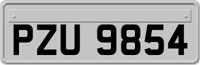 PZU9854