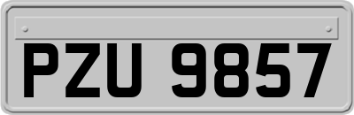 PZU9857