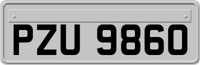 PZU9860