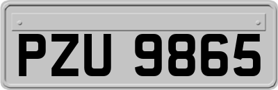 PZU9865