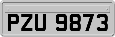 PZU9873