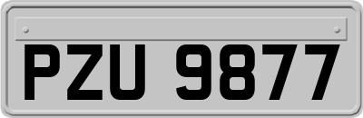 PZU9877