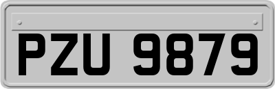 PZU9879