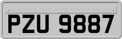 PZU9887