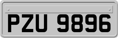 PZU9896