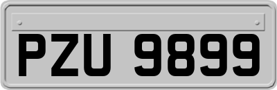 PZU9899