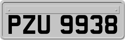 PZU9938