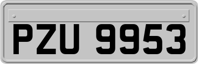 PZU9953