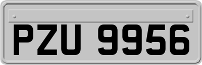 PZU9956